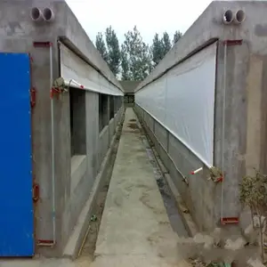 大型猪舍保温卷帘布安装 PVC涂塑布篷布供应 陕北牛场专用布
