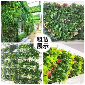 武汉植物租赁 绿丛园林趣味盆栽植物