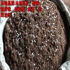 重庆屋顶轻质土 营养土 腐殖土 育苗基质 楼顶营养土