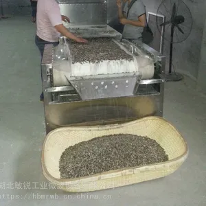 干果微波烘焙熟化机