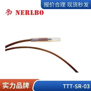 湿热温度传感器T型热电偶探头医药灭菌柜验证