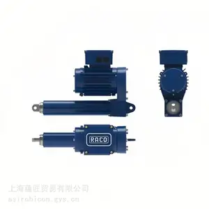 RACO滚珠丝杠
