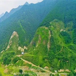 四季常绿草籽有哪些品种可以用到山西矿山边坡