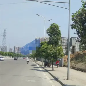 四川成都l路百全监控杆生产厂家 室外摄像机立杆