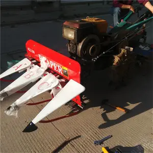 ������С���ո�� ���1����Ҷ�ո�ɹ�� ������ޣ��Ƭ��
