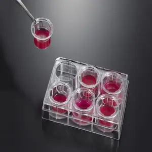 �������� ʵ���ҽ��ֻ�������� ��������׼ȷ��
