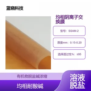 ���������ӽ���Ĥ�����Ƽ�SSAM-2Ĥ רҵ�����Ѽ�Ӧ��