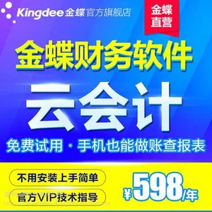 金蝶精斗云财务软件云会计1用户1账套网络版记账出报表管理系统