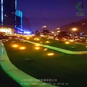 ��ˮ����ө��湫԰�����ƺ�ƹ�װ�� LED���¹����ռ�ҹ������