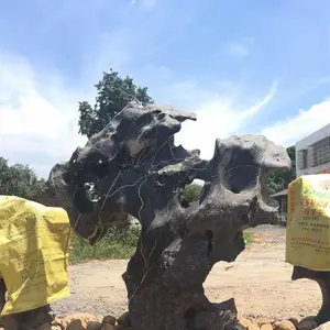 ̫��ʯ����ʯ ��©͸�御�Թ��� ����ŵ�԰�ַ羰ʯ