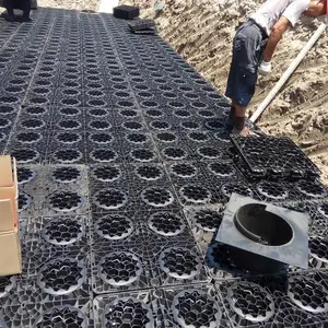 雨水收集灌溉浇花/海绵城市雨水回收