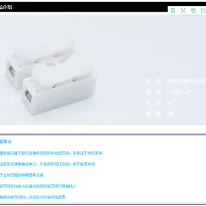 二进二出电源导线对接接头 PC接线端子 免胶布灯具布线连接器