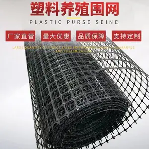 双向塑料土工格栅 厂家方格网矿用路基加筋加固用拉伸塑料土工格栅