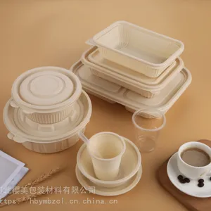 一次性快餐盒