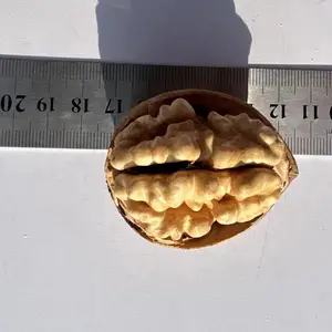 2022�»���������ԭζ�������� ����ԭ�� ɢװ ���̼����