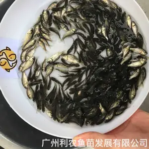 �п�5��3������������ ������Գ�һ�� ȫ������ �ͺ����