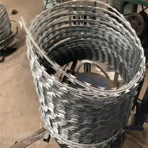 ˫������Ƭ���� �߸��͵�Ƭ���� ��ʢΧǽ�����������