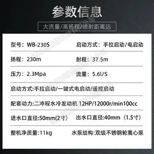 ���ˮ��ɭ���������ˮ��WB-230S˫�����ıô�***ѹ��ˮ��԰�ֽ�ˮ��ˮ��