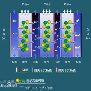 ��䴲�����������������EDI�����������ӽ���Ĥ