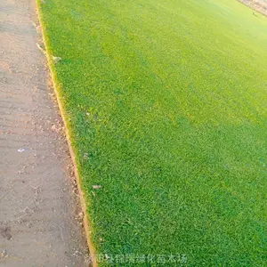 �ļ����ƺ�������� ���������ļ��಻�����˻����׳ɻ�