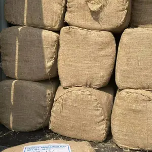 �Ϸ����ѽ��ڱ���������Ϻ�����ӡ���Ϸ����ѽ��ڴ�����˾