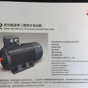 YE2-355L2-4-355KW