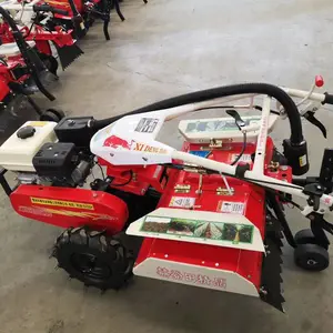 ��԰���ݷ����� �ַ�������ʽС�������� ΢��������