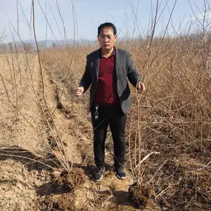 绛县陈村镇陈冠军苗木经销部