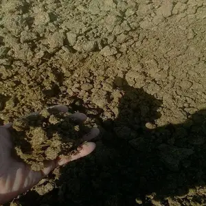 安徽干鸡粪晒干块状蔬菜用蚌埠发酵羊粪安庆干牛粪供应商