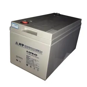 ��������6-GFM-38 12V24AH/20HR ��ά��Ǧ������12V24AH����/ֱ����ר