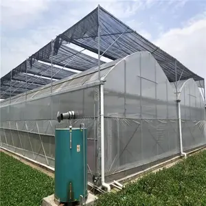���������������������ϱ�Ĥ�����߲�����������������������ﳧ��