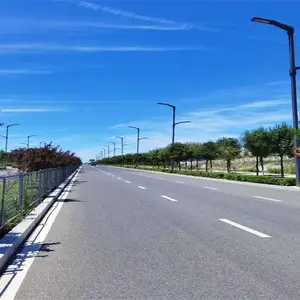 太原市电道路灯批发-市电道路灯-中汾亚明(查看)