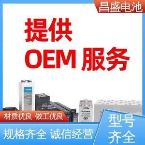 ��ʢ ��ʽ�������� OPzV2-500 ���µȱ��õ�Դ ��ά�����