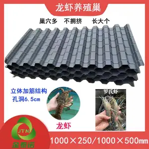 ��̩ŵ ������Ϻ��ֳ�� ����6.5cm��Ϻ�� �з��Ϻ��������ҵ�þ�
