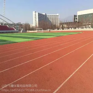 运动塑胶跑道 山东厂家直销塑胶跑道 运动塑胶跑道铺装