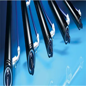 �����¹�Bansbach-easylift��ѹ������D2D2-50-200-535-300N