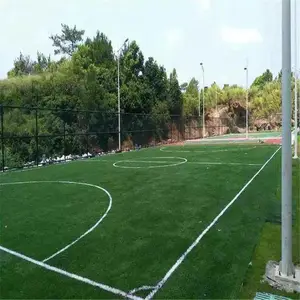 ���������ƺ �׶�԰����� 5�����˶��� ���ɰ��ƺ