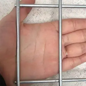 �������ص纸��Ƭ ��������ؿ�ֽ��� ��ֳ��п������