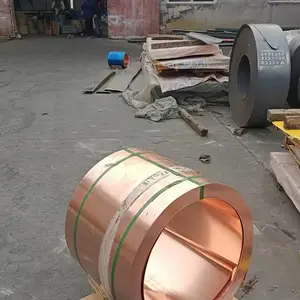 ��ֹͭˮƬ��ʹ�÷�Χ�����ù��ܽ���
