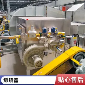 岱鼎 500万大卡天然气 低氮燃烧器 支持定制 规格齐全 维护保养