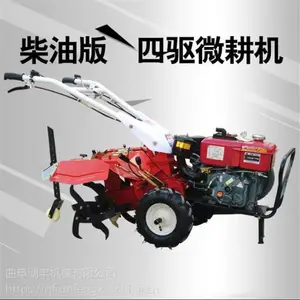11�������ͻ������� ������ �����ȶ� 186������ʽ������ ���