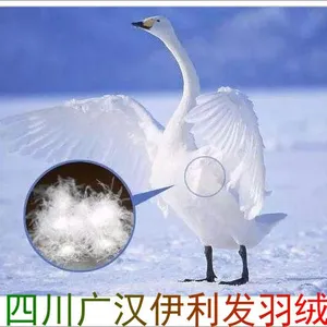 �ɶ����޳����ڹ�Ӧ��Ʒ�ʹ����Ѽ�ް׶���