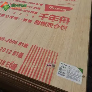 ���� ��ȼ�� B1�� ����e0����ȼ������9mm ��������