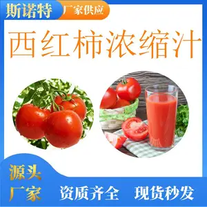 西红柿浓缩汁 斯诺特生物 番茄提取液 饮料食品原料