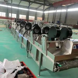 果蔬大枣清洗机 连续式东北玉米清洗风干机