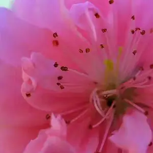 �һ��� �����Ǯһ�� �����һ�Ʒ����������׻���