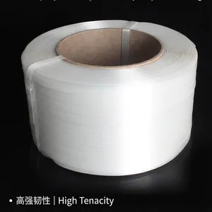 聚酯纤维柔性打包带 高强度集装箱系固带 替代钢带不伤货 可回收