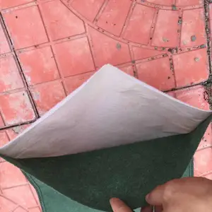 �����̬���۸� ��ˮ��̬�� ***���´� ����Ĥ��