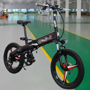 20�綨���۵��綯���г�36V48V﮵糵��Яʽ˫��ɲ��ƿ��·�������綯���г�����ֱ������