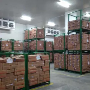 苹果冷库每立方造价是多少?苹果气调库方案设计
